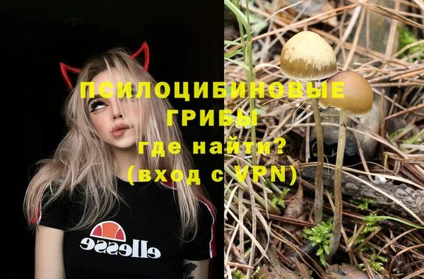 тгк Бугульма